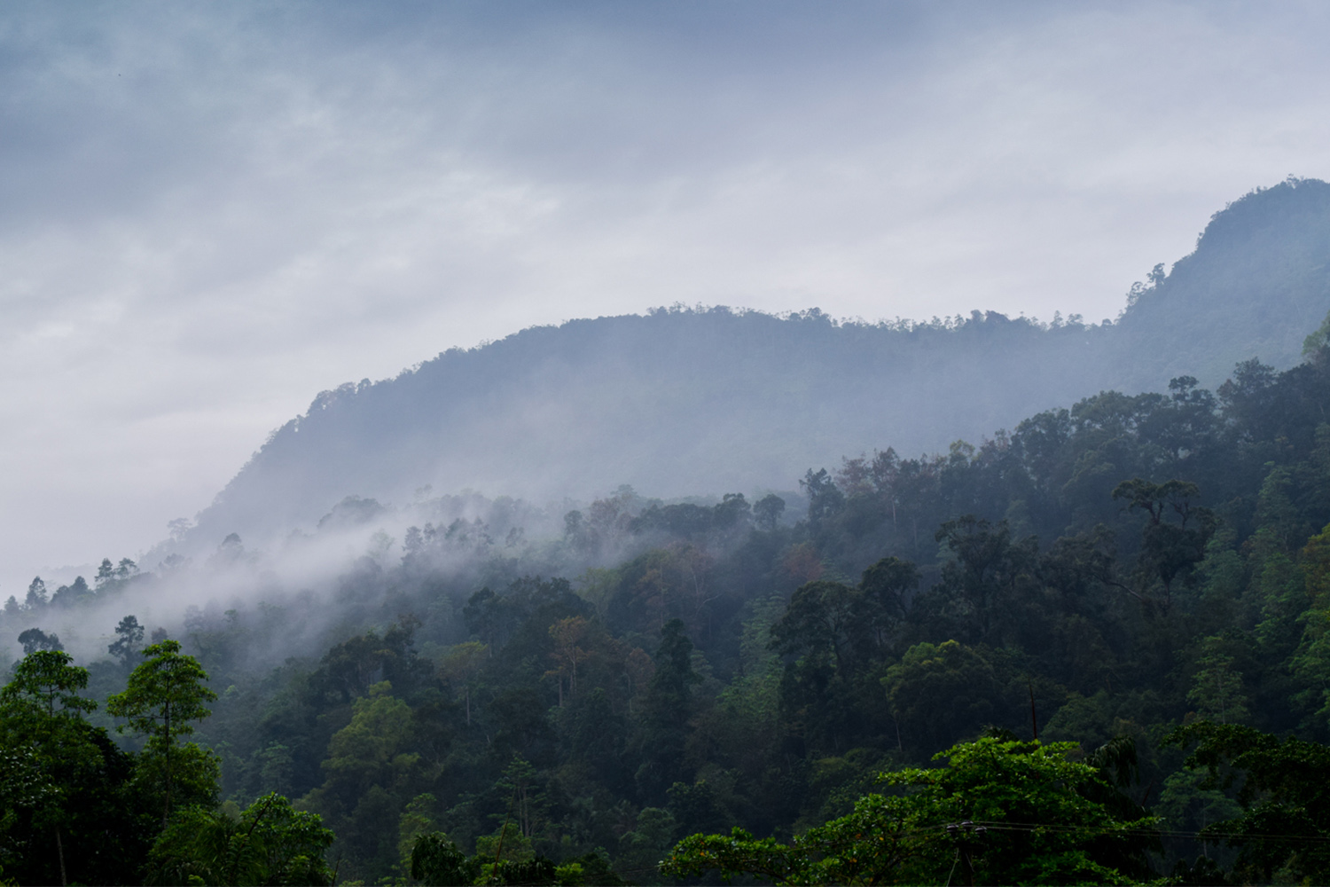 Mountains